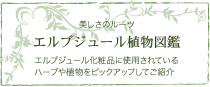 エルブジュール植物図鑑